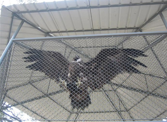 養(yǎng)殖勾花網(wǎng)